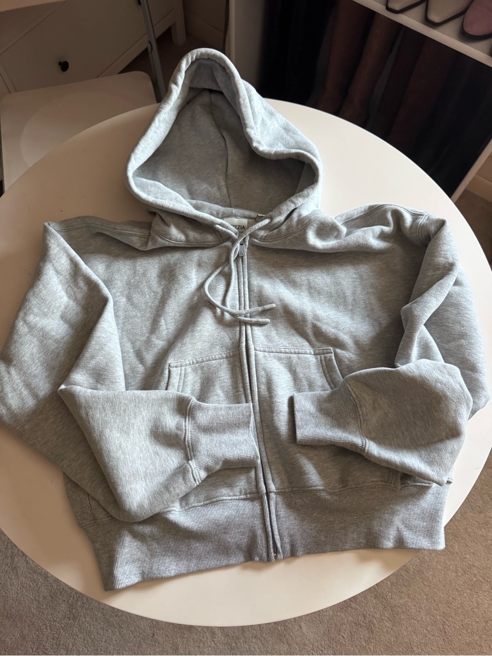 Aritzia cozy sweat fleece boyfriend boxy zip hoodie - Picture 5 of 13